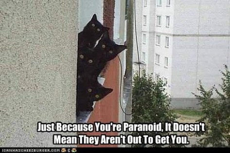 paranoid-kitties-on-ledge